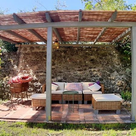 Willa Casa Di Leo With Pool Radicondoli Zewnętrze zdjęcie